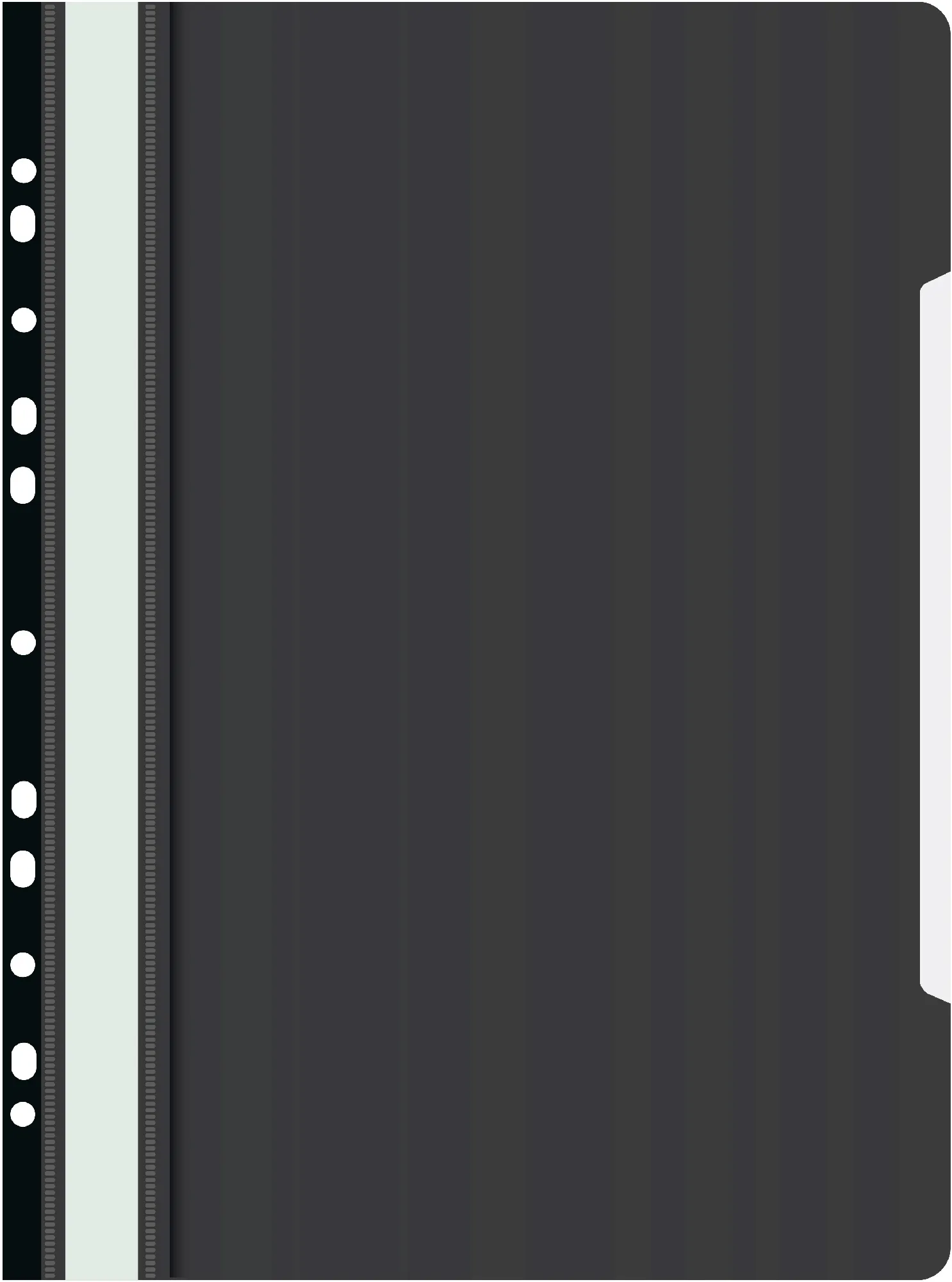 Папка-скоросшиватель Бюрократ -PS-P20/1 A4 прозрач.верх.лист боков.перф. пластик ассорти 0.12/0.16