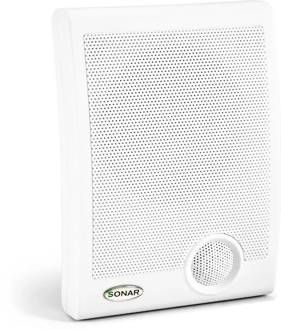 Громкоговоритель Rubezh Sonar SWP-110-105 (RBZ-361113)
