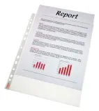 Папка-вкладыш Esselte 56066 прозрачный глянцевые А4 55мкм (упак.:100шт)