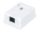 Cabeus WS-8P8C-Cat.6-1 Розетка компьютерная RJ-45(8P8C), категория 6, одинарная, внешняя, Dual IDC Image