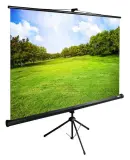 Экран Cactus 150x200см TriExpert CS-PSTE-200x150-BK 4:3 напольный рулонный черный Image