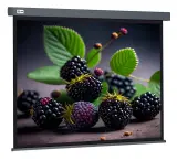 Экран Cactus 127x127см Wallscreen CS-PSW-127X127-SG 1:1 настенно-потолочный рулонный серый Image