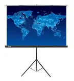 Экран Cactus 150x150см Triscreen CS-PST-150x150 1:1 напольный рулонный черный Image