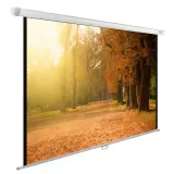 Экран Cactus 125x200см WallExpert CS-PSWE-200x125-WT 16:10 настенно-потолочный рулонный Image