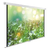 Экран Cactus 200x200см WallExpert CS-PSWE-200x200-WT 1:1 настенно-потолочный рулонный Image