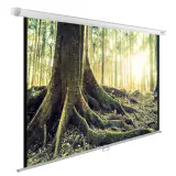 Экран Cactus 220x220см WallExpert CS-PSWE-220x220-WT 1:1 настенно-потолочный рулонный Image