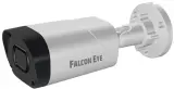 Камера видеонаблюдения IP Falcon Eye FE-IPC-BV5-50pa 2.7-13.5мм цв. корп.:белый Image