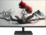 Монитор RDW Computers 23.8" 2401K черный IPS 4ms 16:9 HDMI M/M матовая HAS Piv 1000:1 250.300cd 178гр/178гр 1920x1080 100Hz VGA DP 1.7кг (RUS) Image