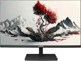 Монитор RDW Computers 23.8" RDW2401K черный IPS 4ms HDMI M/M HAS Piv 350cd 178гр/178гр 1920x1080 120Hz VGA DP FHD (RUS) Image