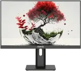 Монитор RDW Computers 23.8" RDW2401K черный IPS 4ms HDMI M/M HAS Piv 350cd 178гр/178гр 1920x1080 100Hz VGA DP FHD USB (RUS) Image